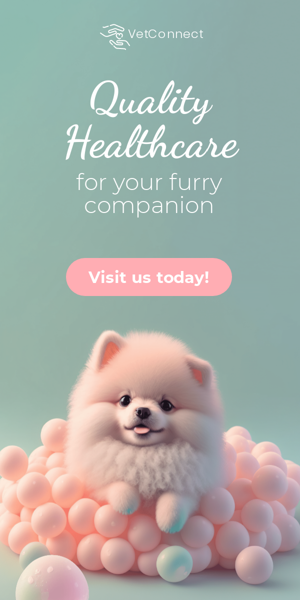Szablon reklamy banerowej —  Quality Healthcare — For Your Furry Companion