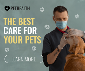 The Best Care For Your Pets — Vet Clinic