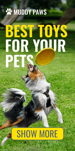 Pets Banner Ad Templates