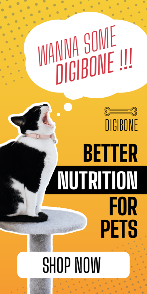 Banner ad template — Better Nutrition For Pets — Animal Feed