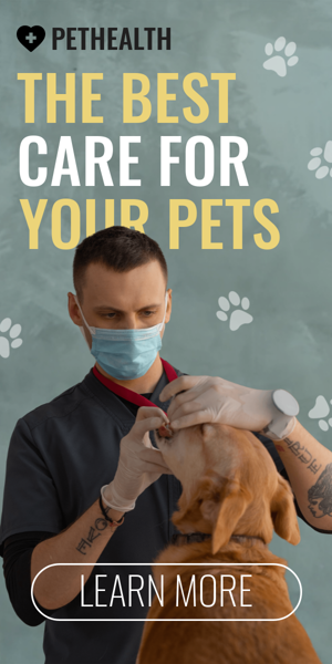 Banner ad template — The Best Care For Your Pets — Vet Clinic