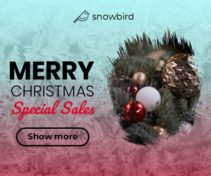 Merry Christmas — Special Sales