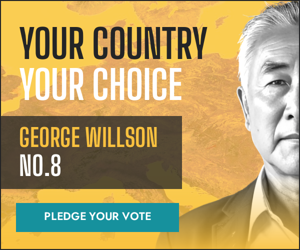 Your Country Your Choice George Willson NO.3 — Election Campaign
