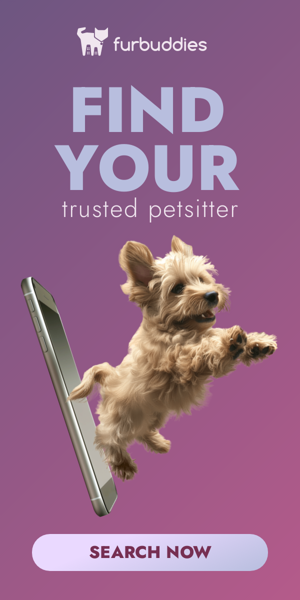 Banner ad template — Find Your — Trusted Petsitter