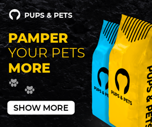 Pamper Your Pets More — Animal Feed