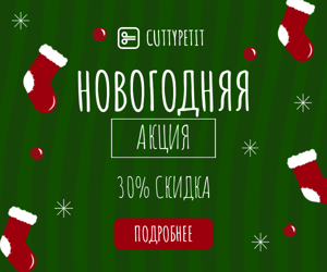 Новогодняя акция — 30% скидка