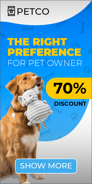 Szablon reklamy banerowej — Właściwe preferencje dla właściciela zwierzęcia — 70% zniżki