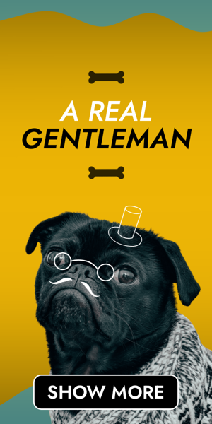 Шаблон рекламного банера — Lets Make Your Dog A Real Gentleman — Animal Training