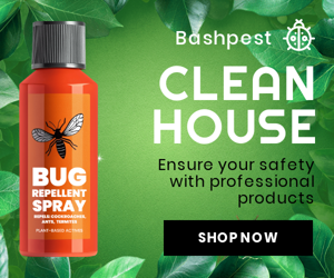 Clean House — Ensure Your Safety With Professional Products