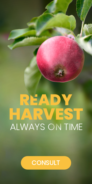 Шаблон рекламного банера — Ready Harvest Always On Time — Agriculture
