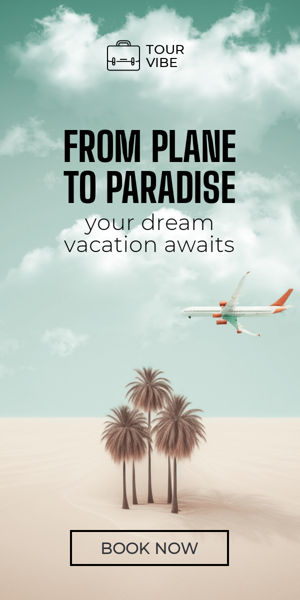 Шаблон рекламного банера — From Plane To Paradise — Your Dream Vacation Awaits