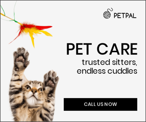 Pet Care — Trusted Sitters, Endless Cuddles