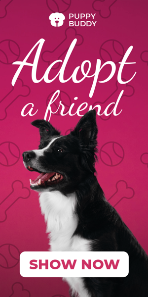 Banner ad template — Adopt A Friend — Animal Shelter