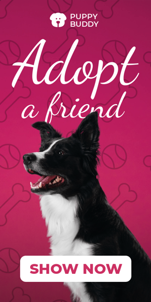 Шаблон рекламного банера — Adopt A Friend — Animal Shelter