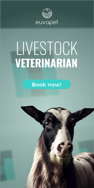 Banner ad template — Livestock Veterinarian — Book An Appointment In One Click!