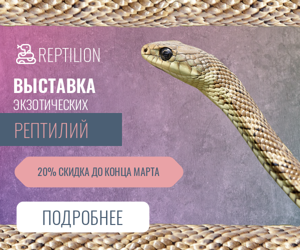 Выставка экзотических рептилий  — 20% скидка до конца марта