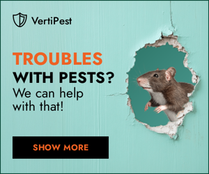 Troubles With Pests? — We Can Help With That!