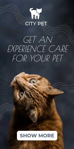 Banner ad template — Get An Experience Care For Your Pet — Pet Care