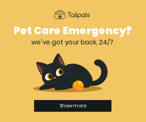 Pet Care Emergency? — We've Got Your Back, 24/7