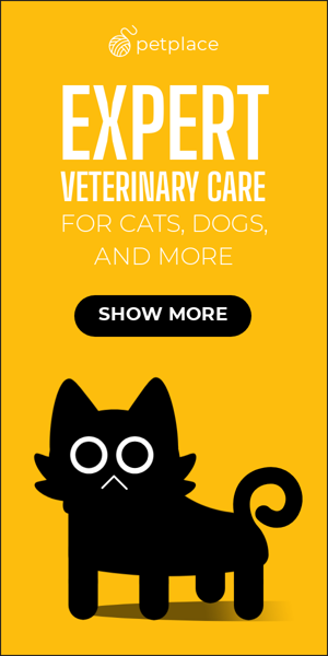 Banner ad template — Expert Veterinary Care — For Cats, Dogs And More