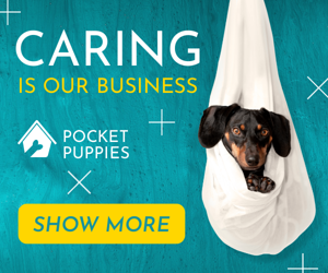 Caring Is Our Bussiness — Pet Shop