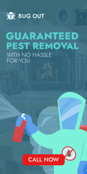Szablon reklamy banerowej — Garantierte Schädlingsbeseitigung — Ohne Aufwand für Sie