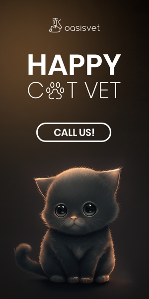 Шаблон рекламного банера — Happy Cat Vet — Veterinary Clinic