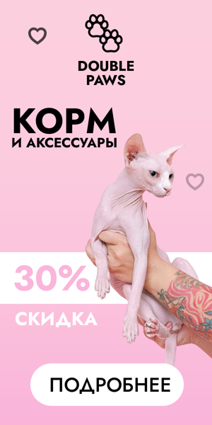 Шаблон рекламного баннера — Корм и аксессуары — 30% скидка
