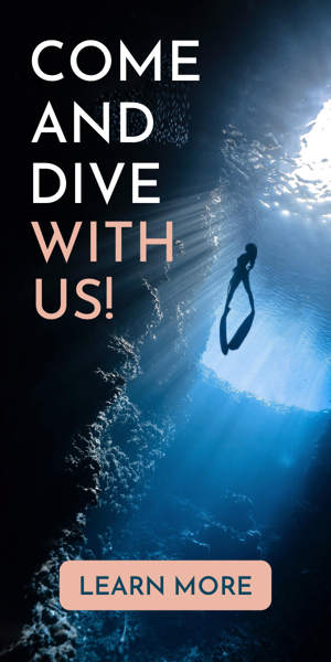 Szablon reklamy banerowej — Come And Dive With Us — Travel Agency