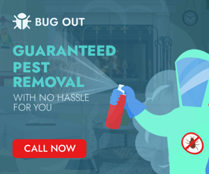 Guaranteed Pest Removal — With No Hassle For You
