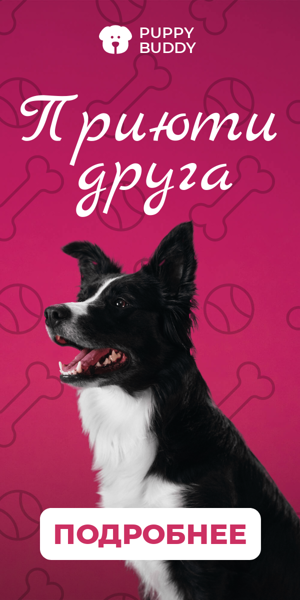 Шаблон рекламного баннера — Приюти друга — приют для животных