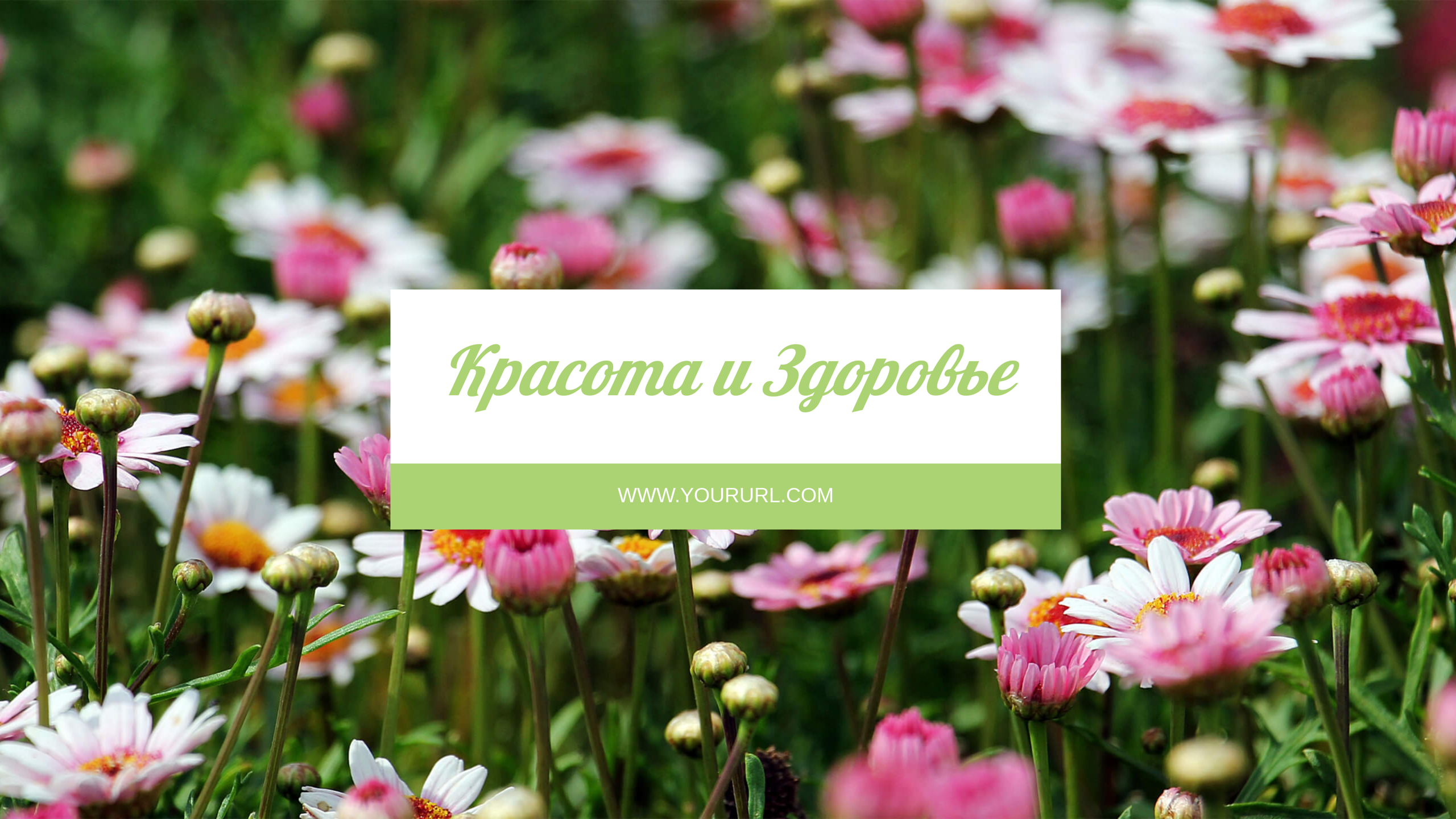 Шаблон рекламного баннера — Красота и здоровье — Блог
